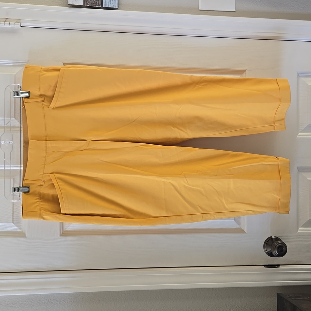 Lane Bryant Modernist Cropped trousers pants